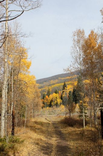 ptarmigan trail