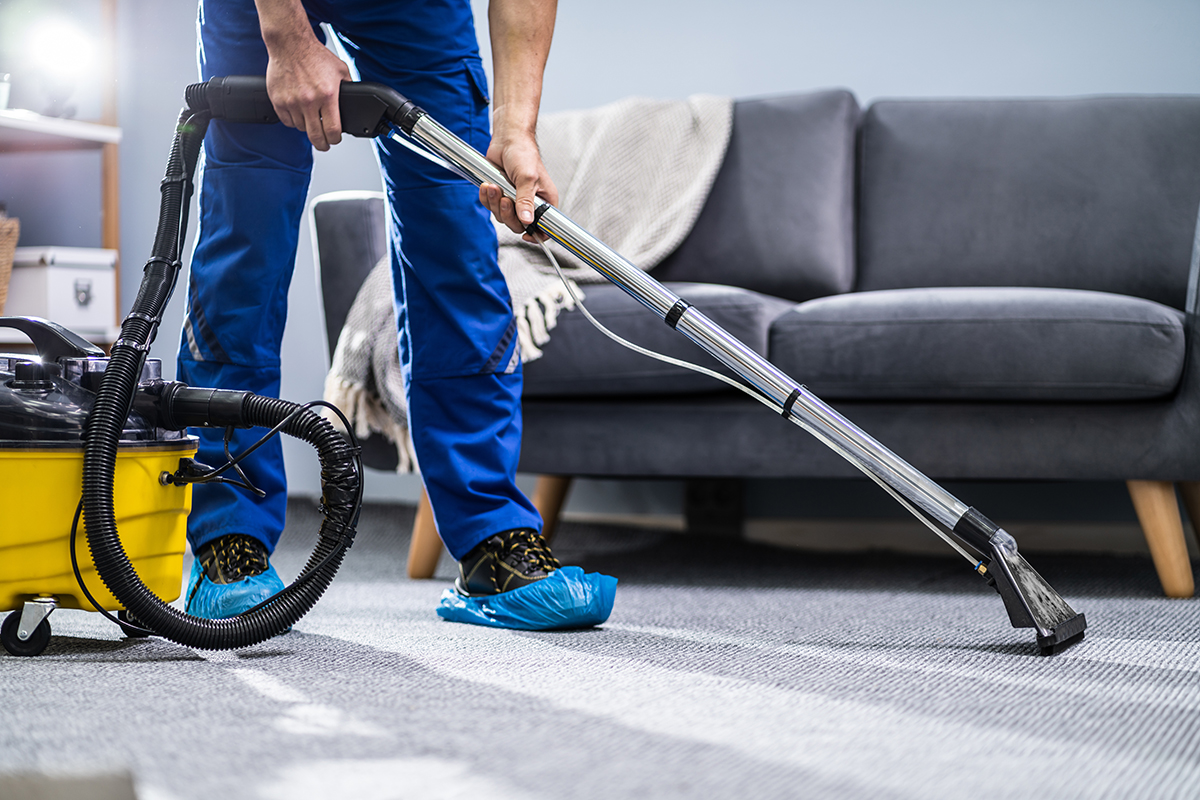 Hire Carpet Cleaning Services in Kukatpally, Hyderabad - Steam, Shampooing  - HomeTriangle